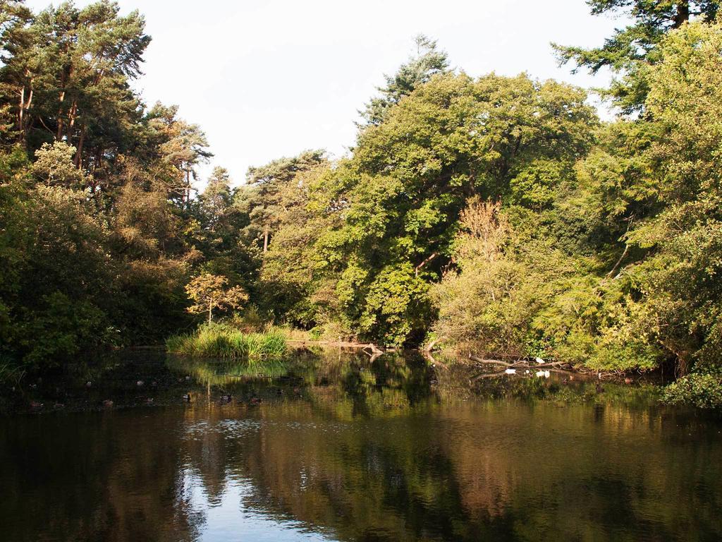 Bryngarw House Hotel บริดจ์เอนด์ ภายนอก รูปภาพ